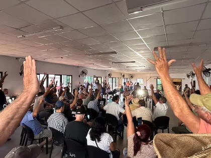 Crisis en la yerba: productores amenazan con el desabastecimiento si no mejoran los precios de la materia prima