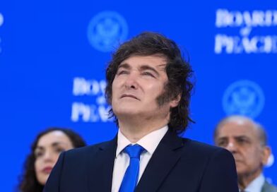 Ley de Financiamiento Universitario: el Gobierno apeló la medida cautelar que lo obliga a implementarla