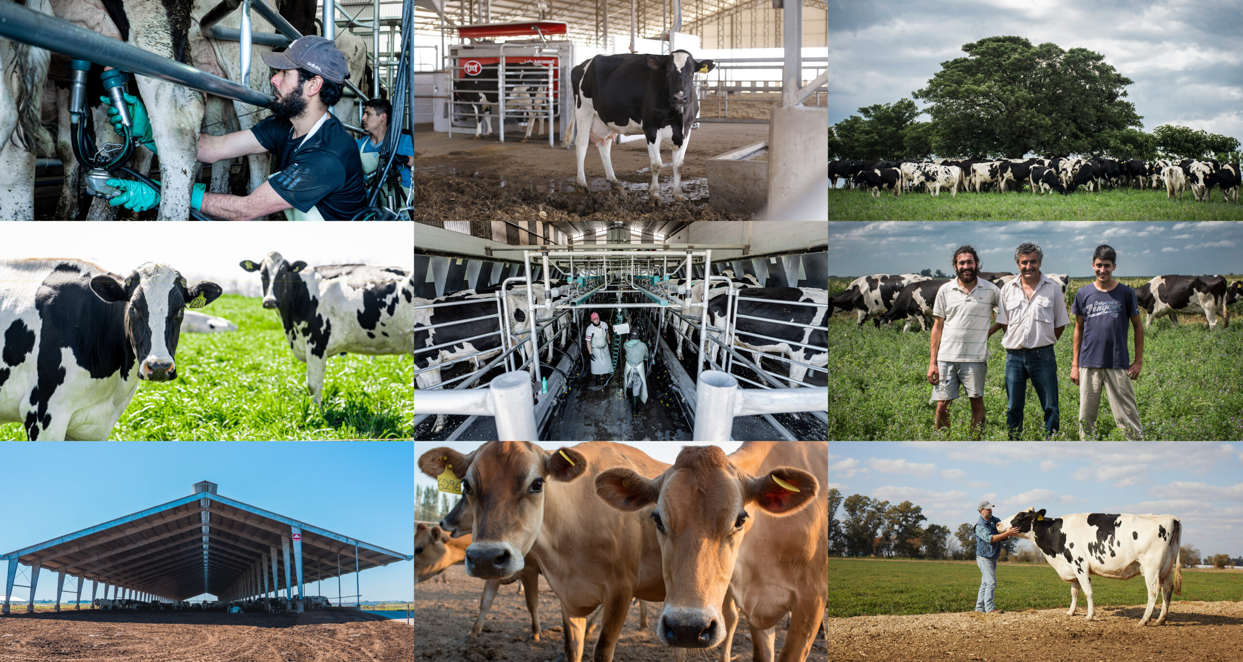 Mastellone Hnos. conmemora el Día del Tambero